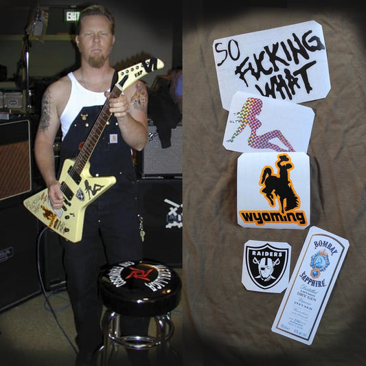 James Hetfield  So fu*king what ESP MX-220 guitar stickers The Black Album vinyl decal