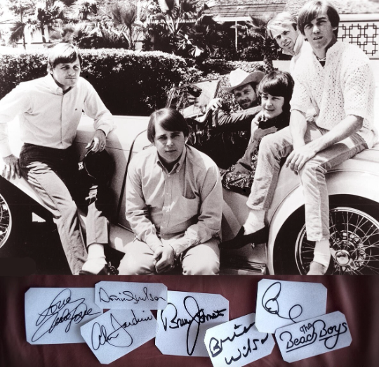 The Beach Boys autographs vinyl stickers Brian Wilson, Alan Jardine, Mike Love