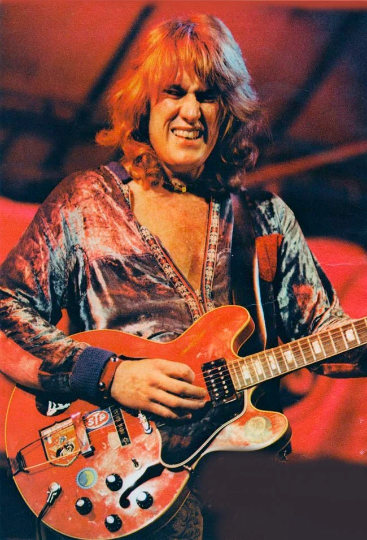 ALVIN LEE Guitar Stickers Old Gibson Big Red ES-335 Custom Decal Ten Years After Set 6