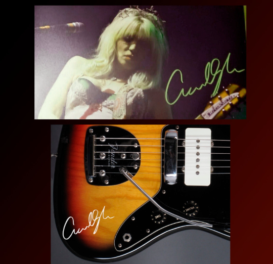 Courtney Love guitar victorian cat stickers Fender Jazzmaster decal Hole set 8