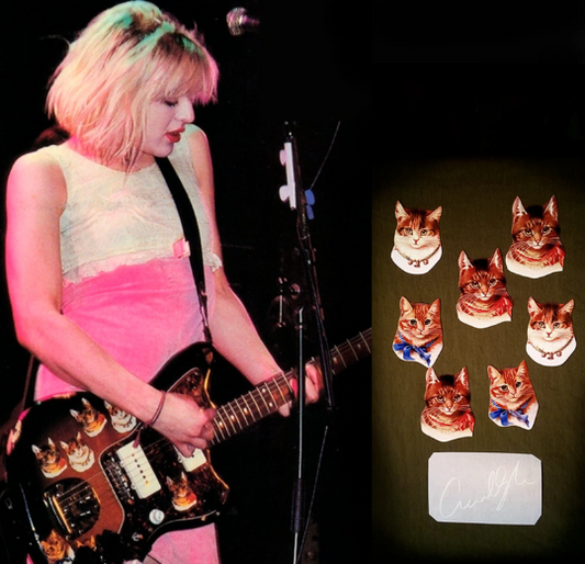 Courtney Love guitar victorian cat stickers Fender Jazzmaster decal Hole set 8