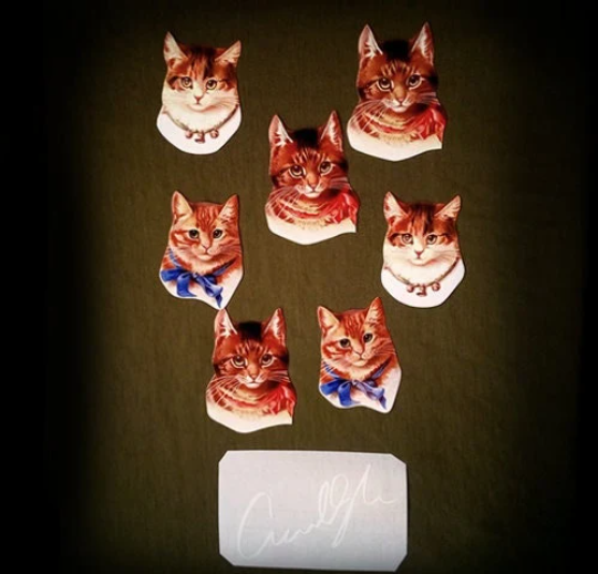 Courtney Love guitar victorian cat stickers Fender Jazzmaster decal Hole set 8