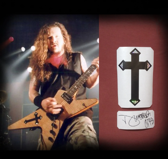 Dimebag Darrell guitar stickers Washburn D3 Southern Cross vinyl decal autograph