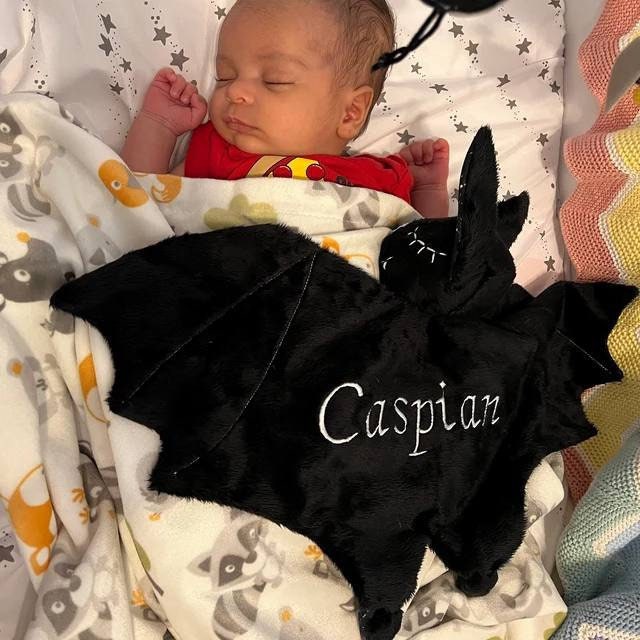 Baby lovey bat security blanket