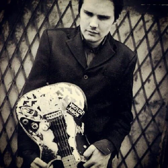 Smashing Pumpkins inspired bat guitar decal set