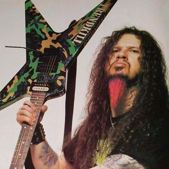 Dimebag Darrell guitar sticker close up detail